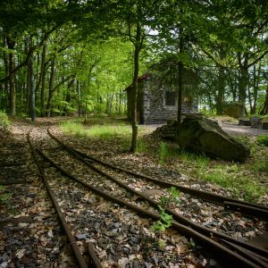 Reste des Gleissystems der ehemaligen Schmalspurbahn, die das Winfeld mit der Eisenbahnlinie verband. 1922 hatte die Winfeld-Feldbahn ein Streckennetz von 5 km, auf dem insgesamt 50 Kipploren rangierten.