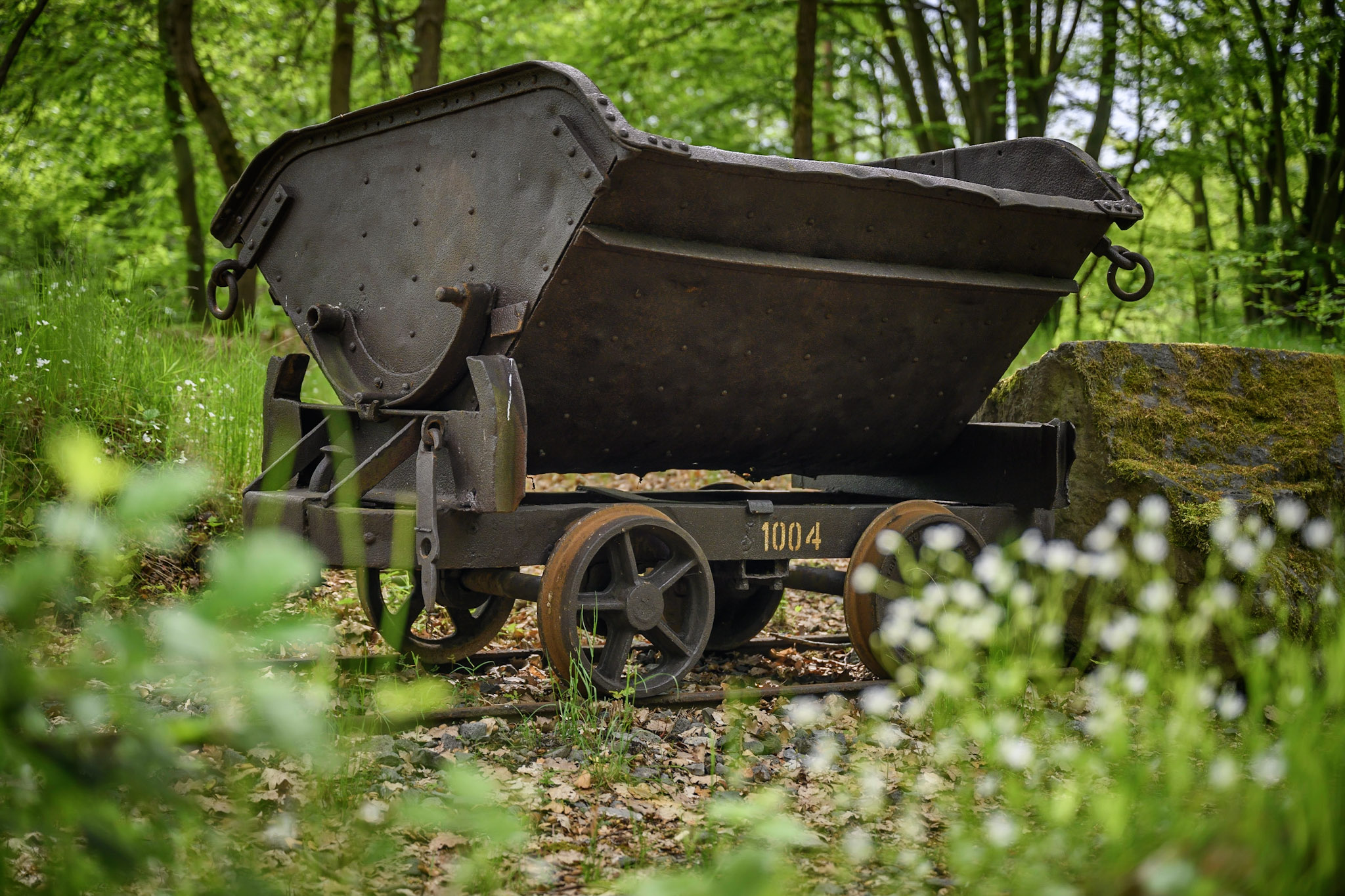 Eine alte Lore steht im Wald.